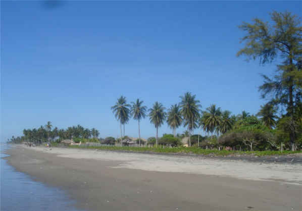 imagen de playa el espino