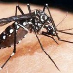 Thumbnail Lo que tienes que saber del Zika en El Salvador