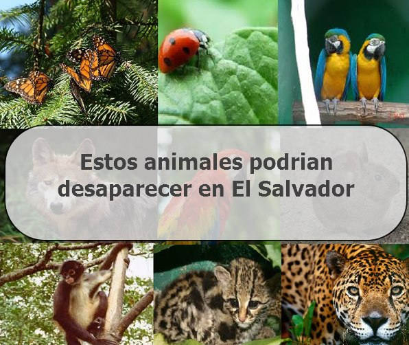 animales peligro de extinción el salvador